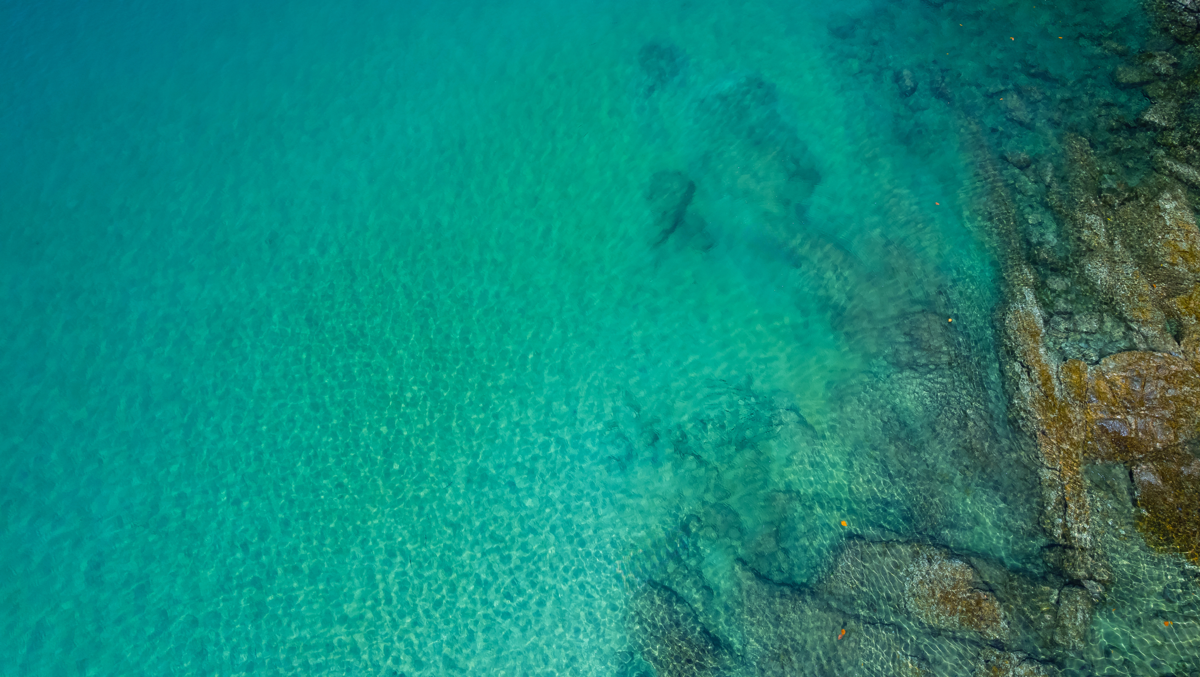 Ac43f5a558b3b3a7bac1d0f47b0ae512023cc760